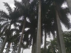 -仙岳公园