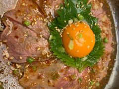 -一本钓鲔鱼屋