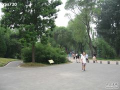 -紫竹院公园冰场
