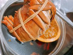 -黄记大闸蟹专卖店·活蟹·醉蟹
