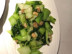 油渣上海青-韵秋荷(宝山龙湖天街店)