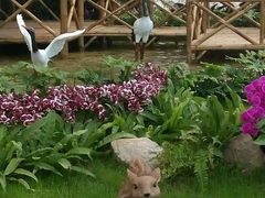 -兰陵国家农业公园