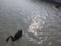 -狼山风景名胜区