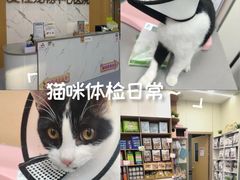 -爱佳宠物中心医院24H·CT·骨外科·猫专科(瑶海万达店)