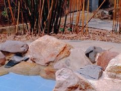 -森波拉火山温泉