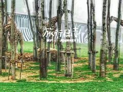 -大连森林动物园