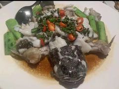 -老伙记海鲜码头(北滘店)