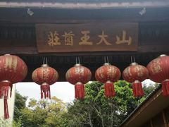 -山大王菌莊
