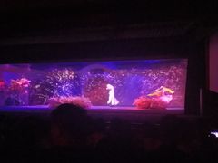 -郑州方特梦幻王国