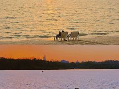 -巧克力渔家.小船海鲜胶东菜(万平口店)