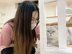 -李小姐の猫咖啡馆(五角场店)