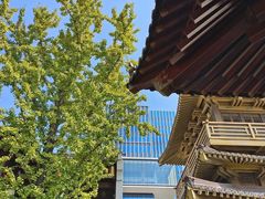 -香积寺
