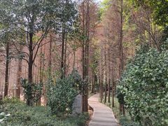-广州市帽峰山景区