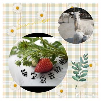 春暖花开，万物生长的季节，需要带娃出来放电啦