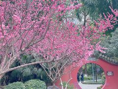-望江楼公园