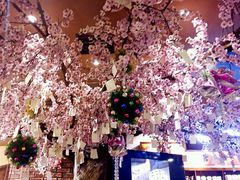 -波波's蛋糕店(于洪广场店)