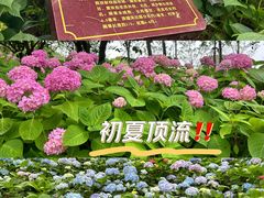 -上海吴淞炮台湾国家湿地公园