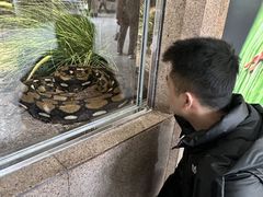 -成都动物园