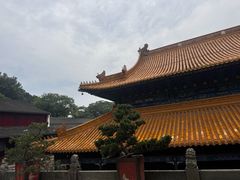 -普陀山风景名胜区-法雨禅寺