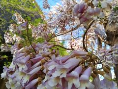 -长椿街(地铁站)