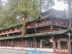 -青城山