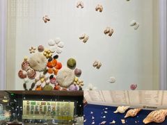 -青岛贝壳博物馆