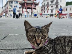-汕头市小公园