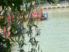 -泗洪洪泽湖湿地景区