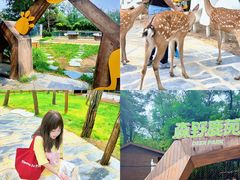 -南戴河国际娱乐中心