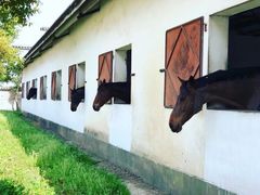 -松声马术俱乐部