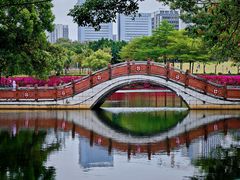 -深圳龙潭公园
