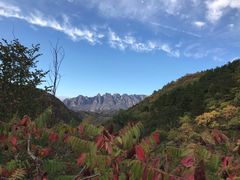 -云岫谷自然风景区