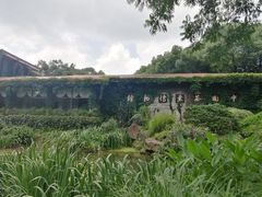 -中国茶叶博物馆(双峰馆区)
