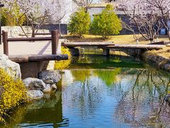-三里河公园