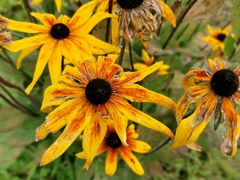 -云峰山自然风景区