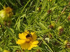 -南京市江宁方山