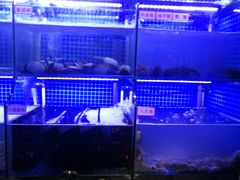 水产区-捞围鲜·港式打边炉(海阳路店)