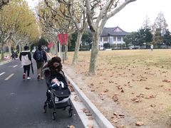 -THE PRESS(复旦大学店)