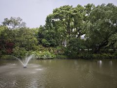-上海醉白池公园