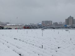 -大连人民广场