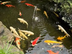 -聚福宝合苑食府(南头镇店)