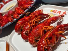 -杨氏青龙虾·羊蝎子(托乐嘉店)