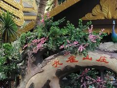 -西双版纳原始森林公园