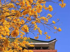 -天鹿湖森林公园