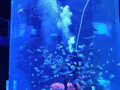 -青岛海底世界-水族馆