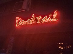 -Ducktail