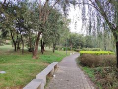 -飞来湖湿地公园