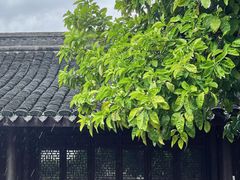 -何记面馆(龙泉山店)