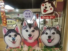 -Husky Go! 哈士奇体验馆·宠物咖啡厅狗咖