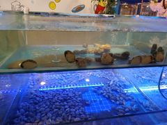 水产区-特色酱椒鱼私房菜(黄鹤楼店)